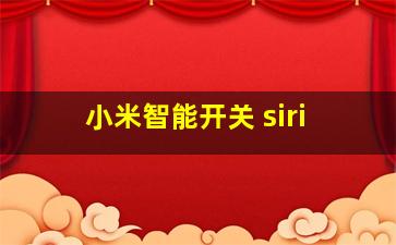 小米智能开关 siri